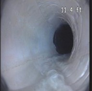 Listing Image1