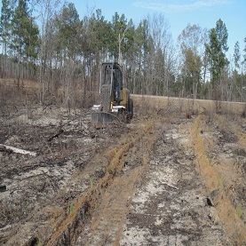 Listing Image1
