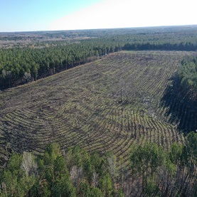 Listing Image2