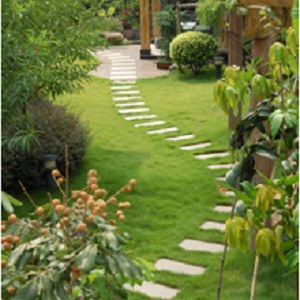 Listing Image1