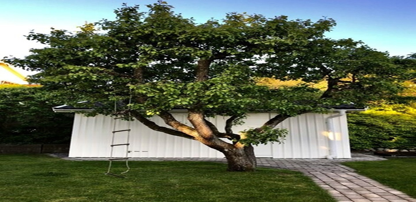 Listing Image2