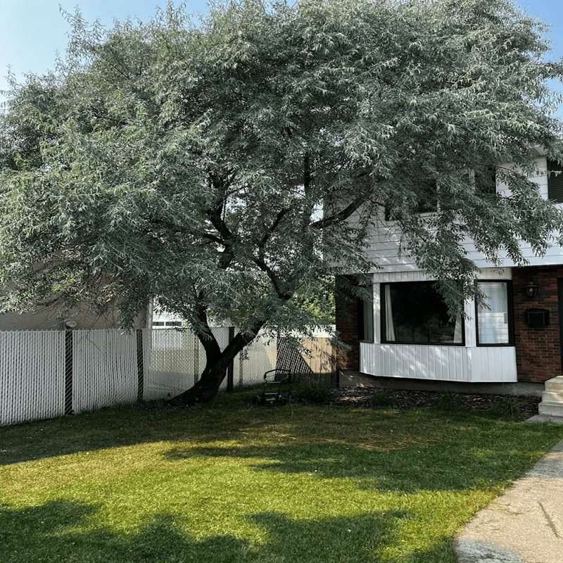 Listing Image6