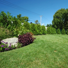 Listing Image0