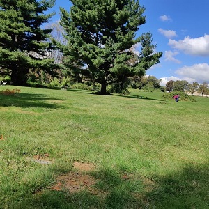 Listing Image0