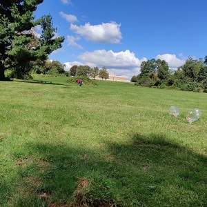 Listing Image1