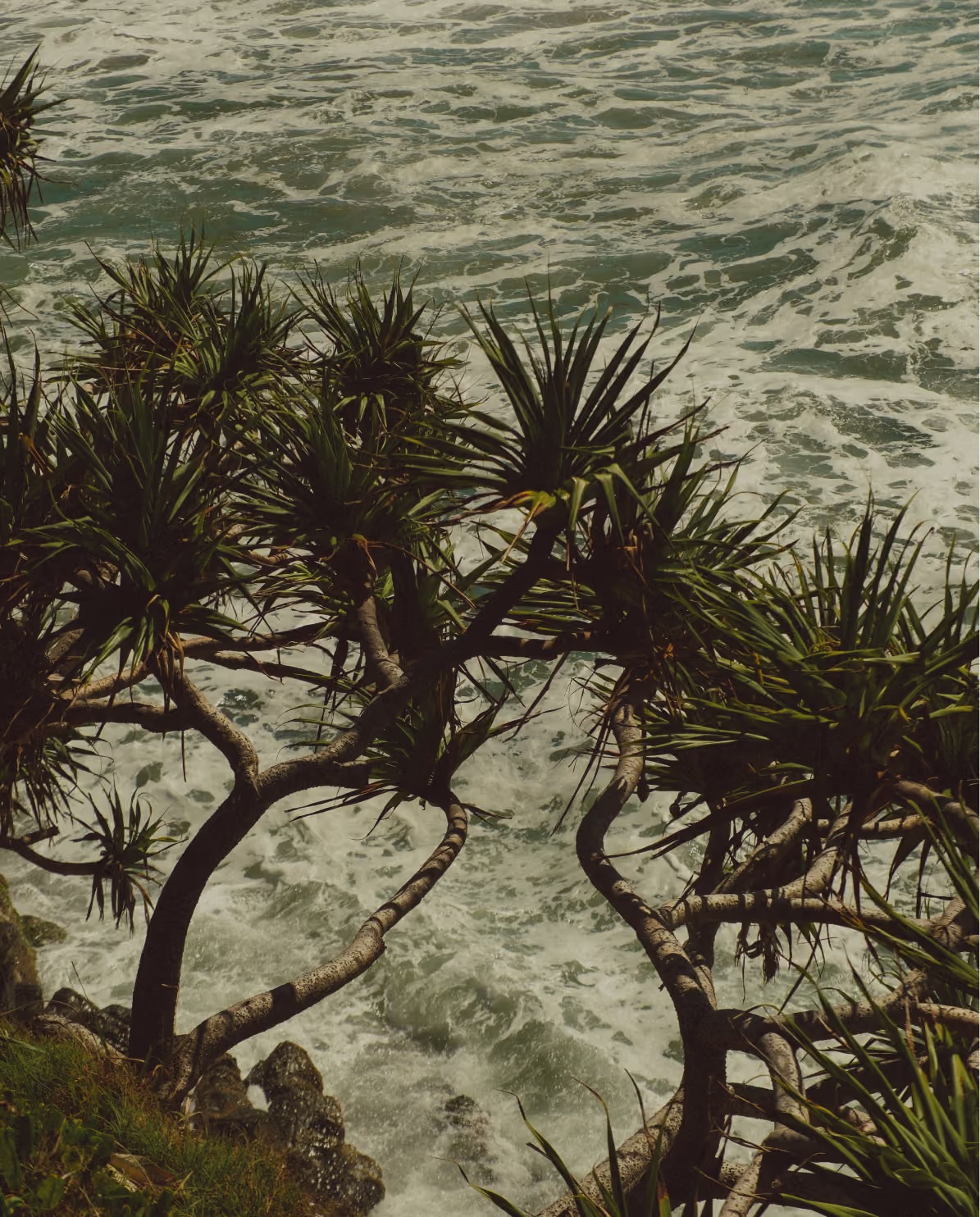 Listing Image6