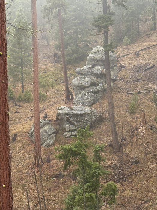 Listing Image4